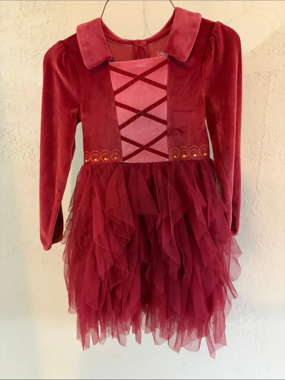 Disney Burgundy Velvet and Tulle Party Dress